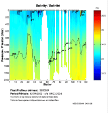 Salinity