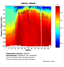 Salinity