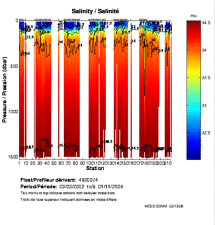 Salinity