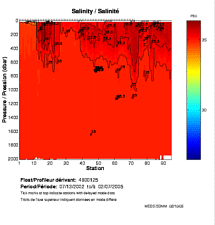 Salinity