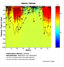 Salinity