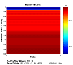 Salinité