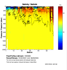 Salinity