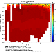 Salinity