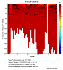 Salinity