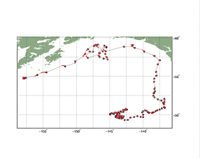 Surface Drift Track