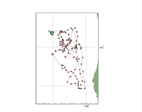 Surface Drift Track