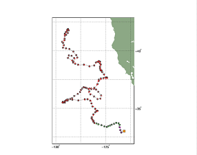 Surface Drift Track