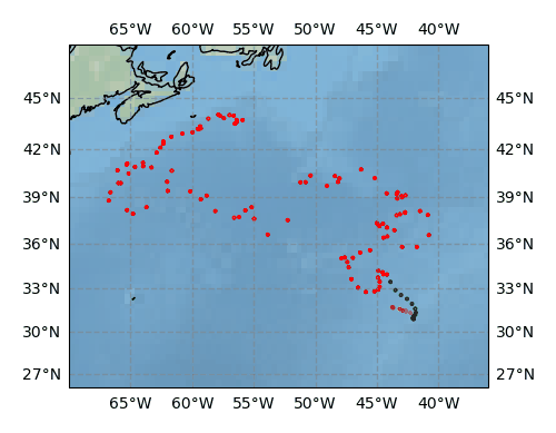 Surface Drift Track